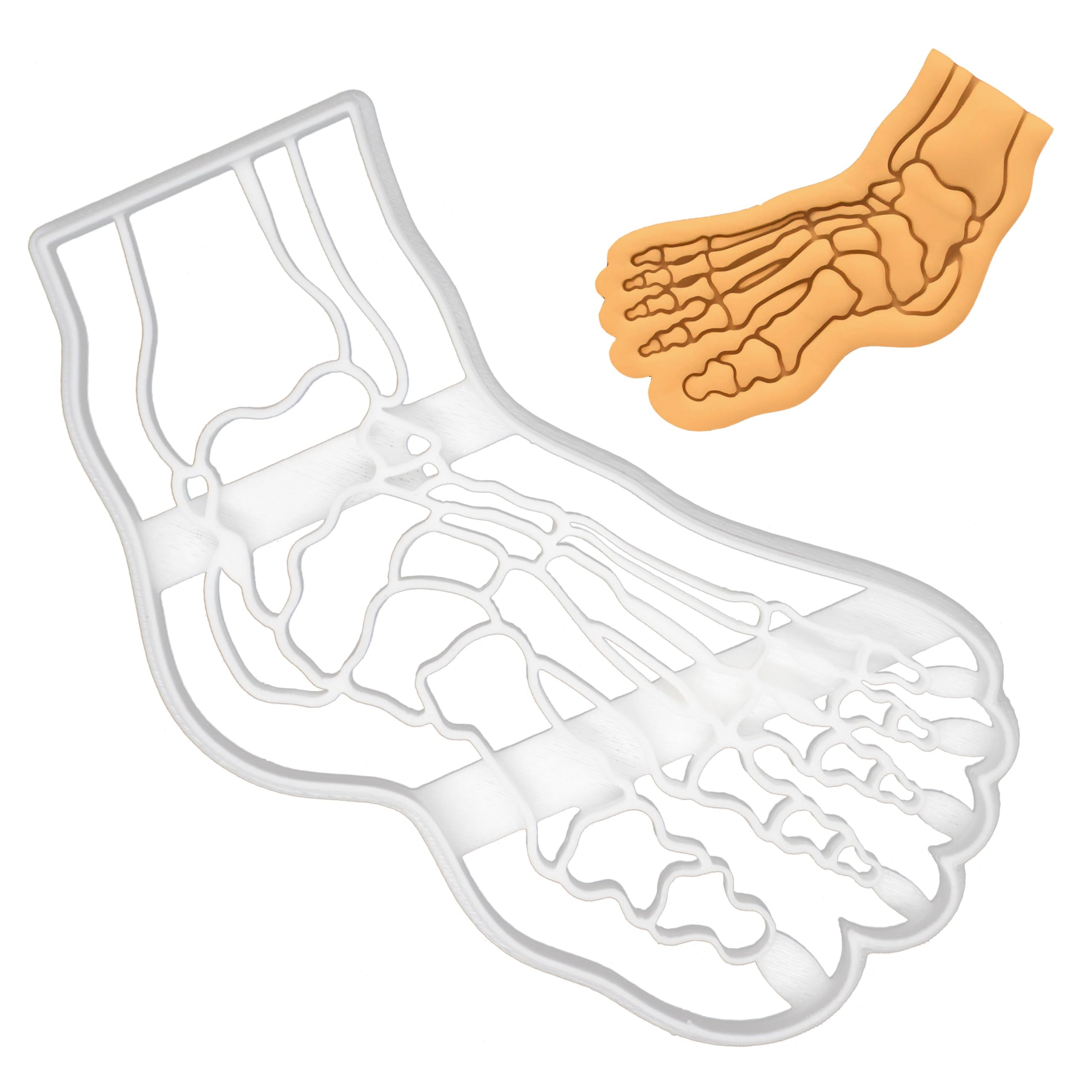 BAKERLOGY Human Foot Bone X-Ray Cookie Cutter - Detailed Biscuit Cutter Design for Baking and Crafts, Ideal on Fondant, Dough, Clay