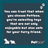 Petface Ball Launcher Dog Toy Large view 5