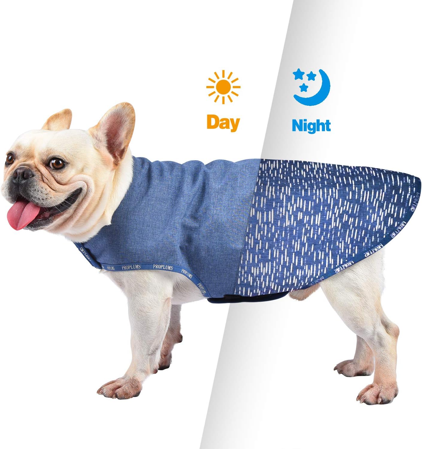 best small dog sweaters