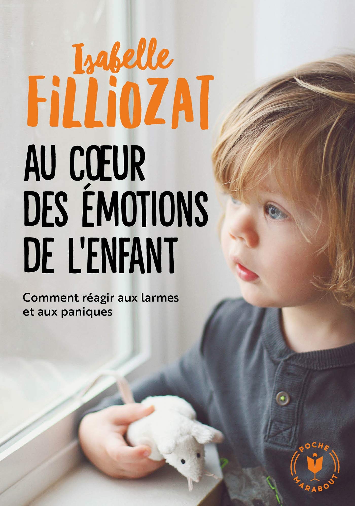 Au Coeur Des Emotions De L Enfant Comment Reagir Aux Larmes Et Aux Paniques Famille Education Amazon Co Uk Filliozat Isabelle Books Au Coeur Des Emotions De L Enfant Comment Reagir Aux Larmes Et Aux Paniques Famille Education Amazon Co Uk Filliozat Isabelle Books