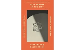 Last Summer in the City: A Novel