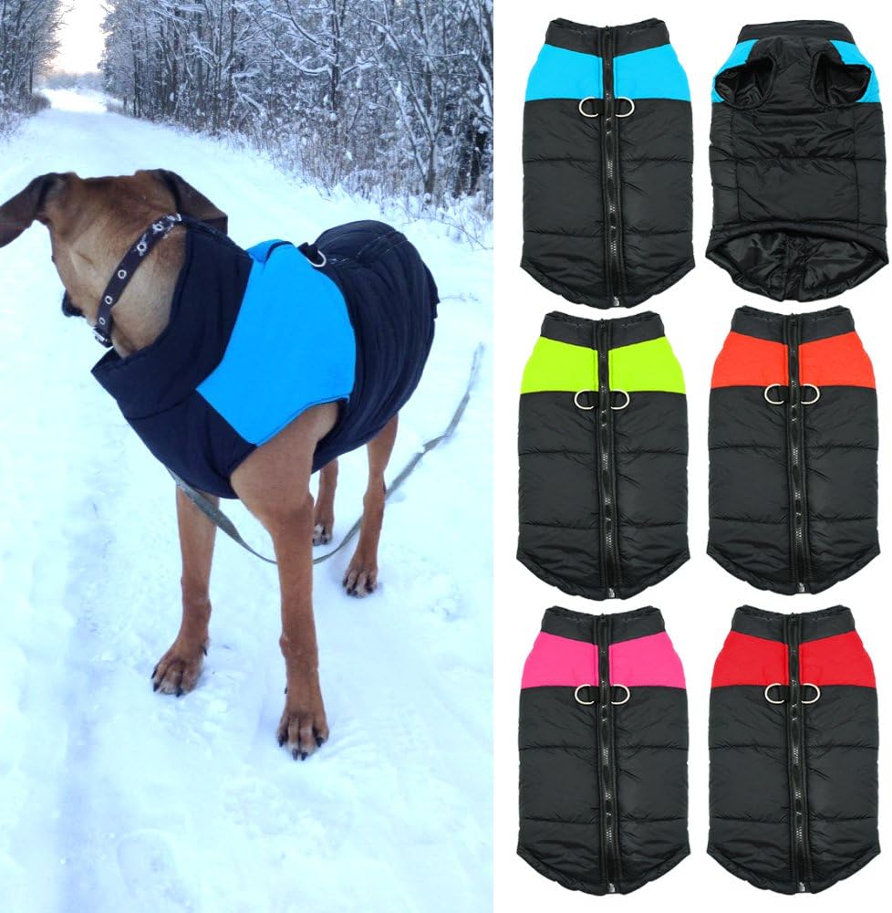 best winter coats for small dogs