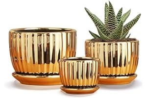Ton Sin Gold Plant Pots,4.1+5.1+6.5 Inch Flower Pots,Ceramic Succulent Planters Set of 3,Mini Indoor Pots with Drainage,Handmade Decorative Ceramic Orchid and Herb Pots(Gold)