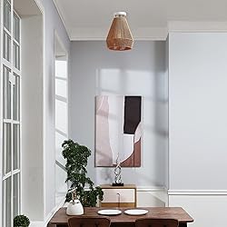 Globe Electric 65894 1-Light Flush Mount Ceiling