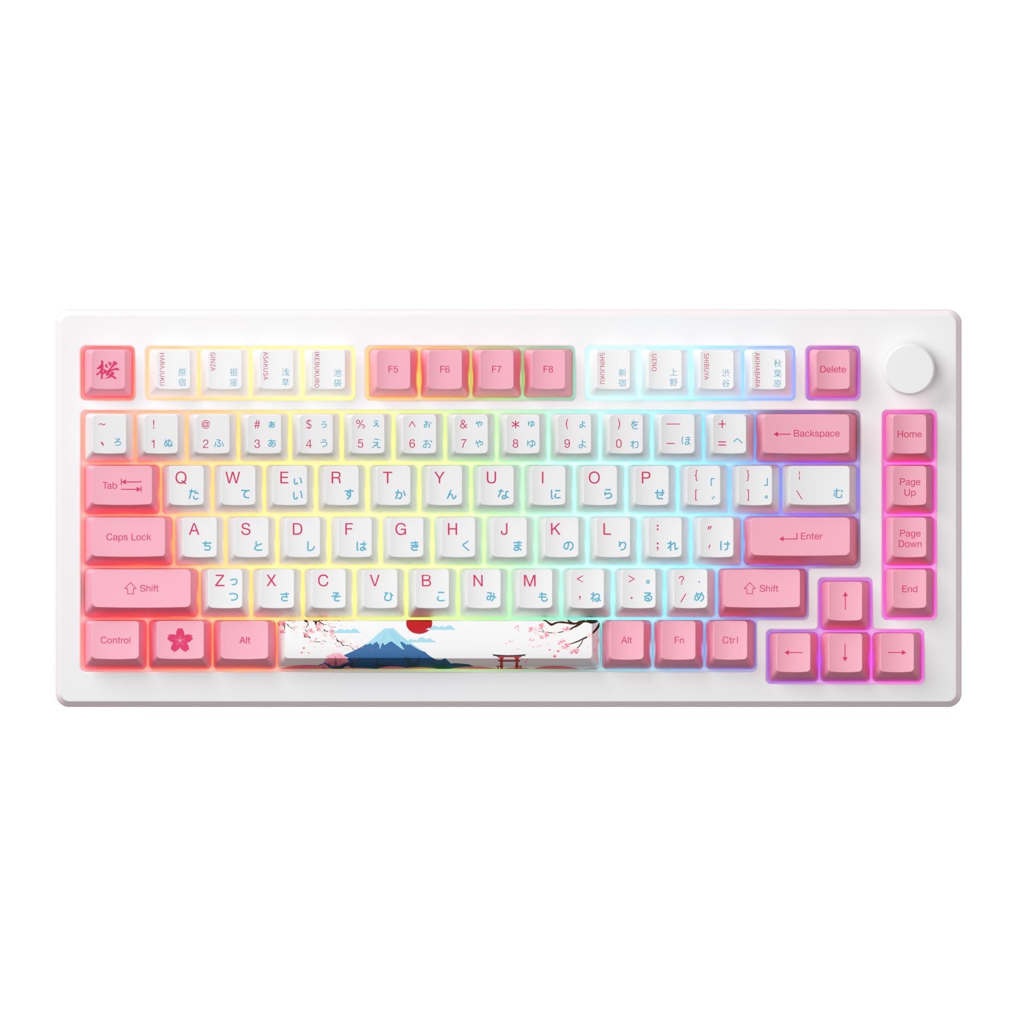 Mua Akko MOD 007B Tokyo Mechanical Gaming Keyboard, 75% Gasket LED ANSI ...
