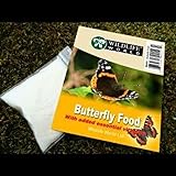 Wildlife World Mini Bugs Butterfly Moth Feeder And Habitat