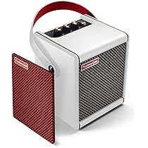 Amazon.com: Positive Grid Spark MINI + Crimson Grille Bundle – 10W 