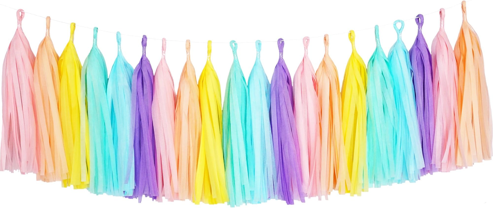 Tissue Paper Tassel DIY Party Garland Decor for All Events & Occasions - 20 Tassels Per Package (Rainbow Pastel)