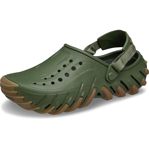Amazon.com | Chaco Men display picture 1