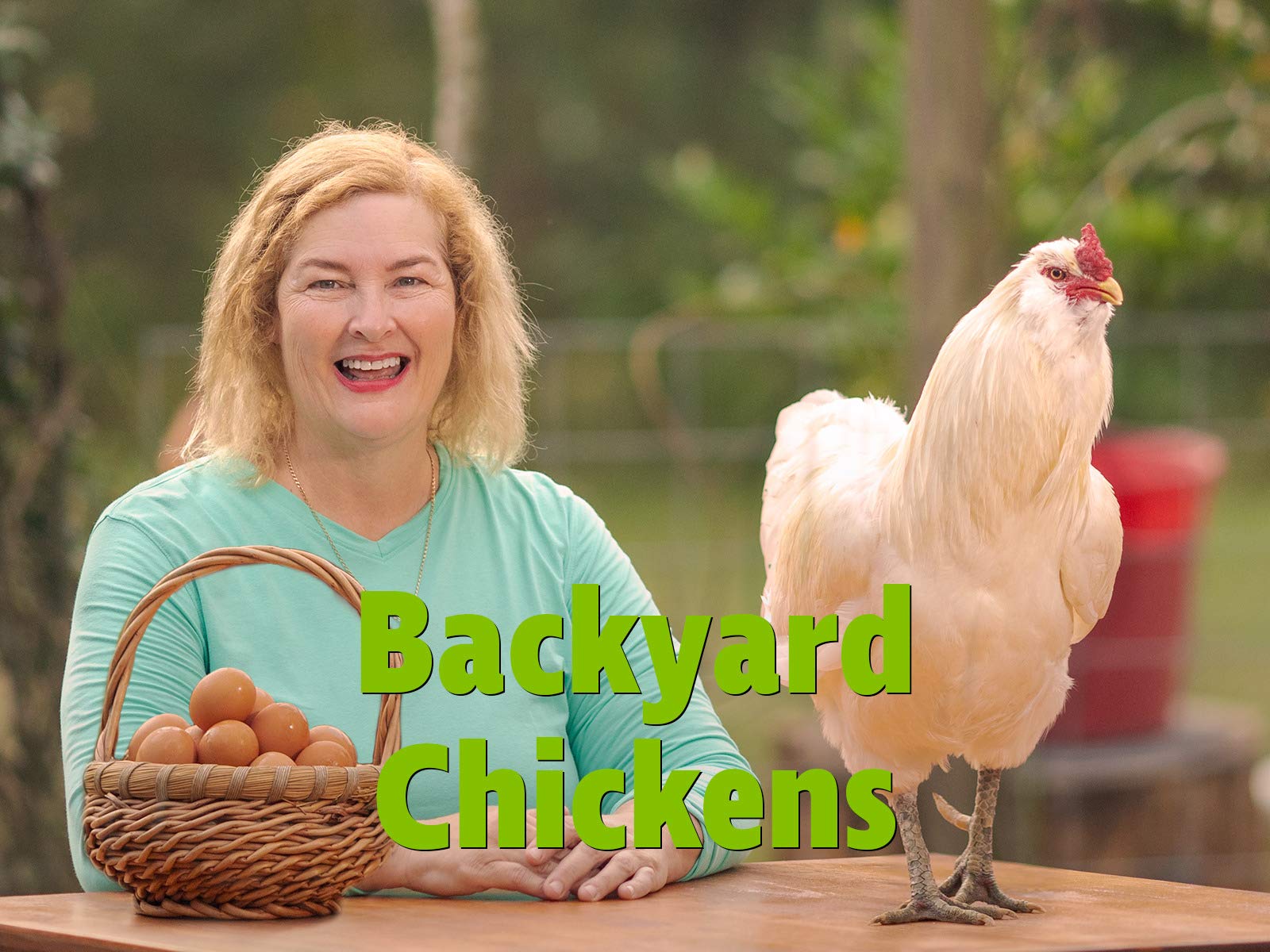 Watch Backyard Chickens Prime Video Watch Backyard Chickens Prime Video