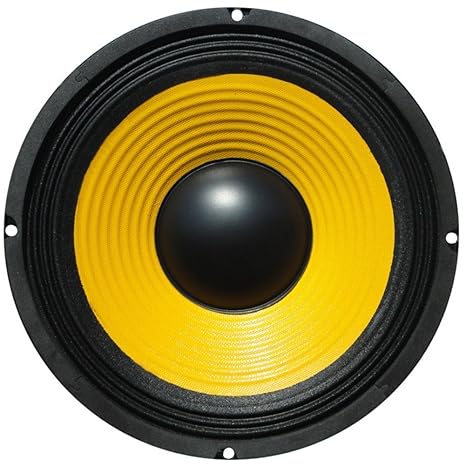 samcon subwoofer 8 inch