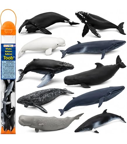 Amazon.com: Safari Ltd. Dolphin TOOB - 10 個微型海豚雕像- 益智玩具