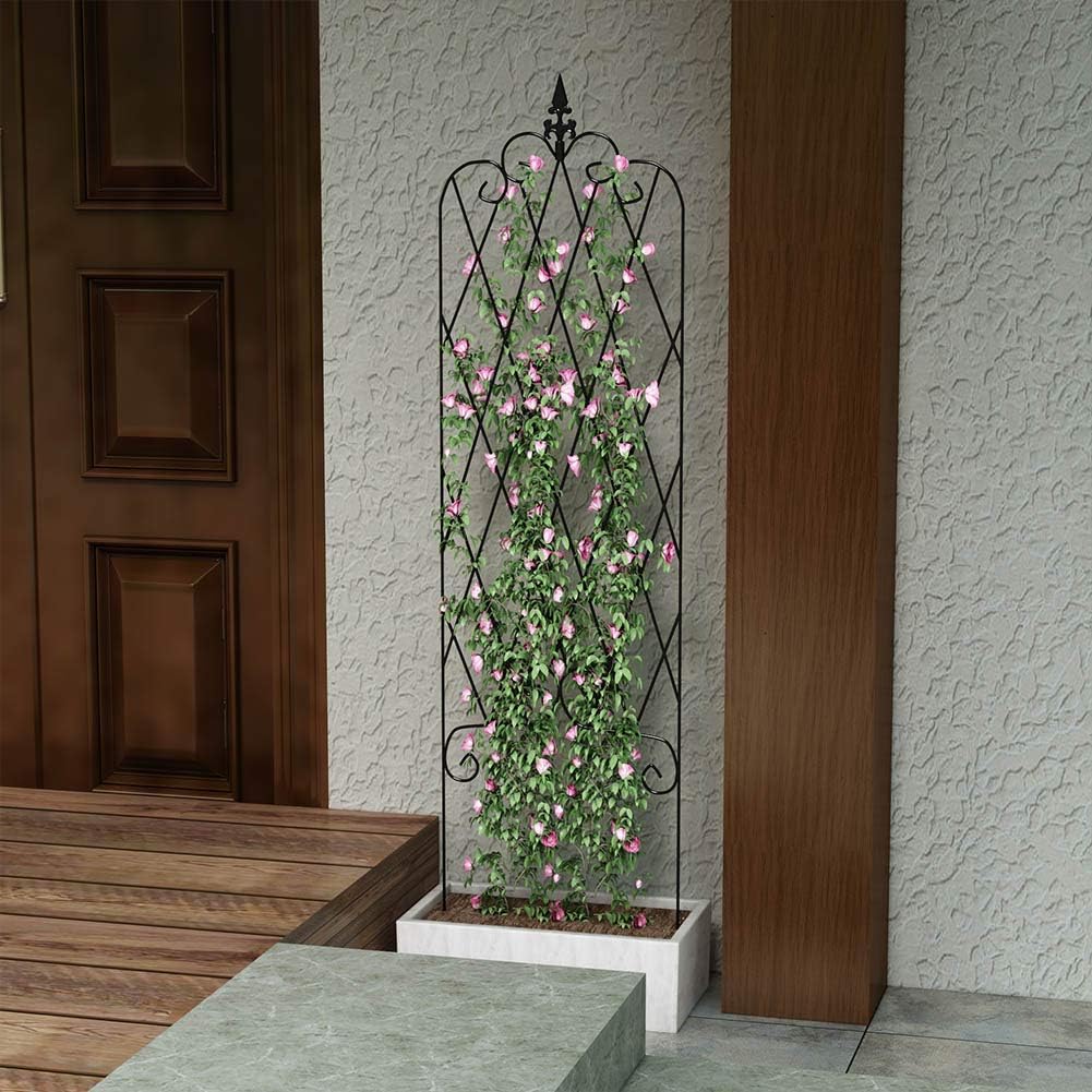 ZGXY Garden Trellis for Vines and Climbing Plants Rustproof Black Metal Wire Lattice Grid Panels for Ivy Roses Cucumbers, Clematis Support, Rose Vines, Durable & Sturdy Beautiful Plant Decor