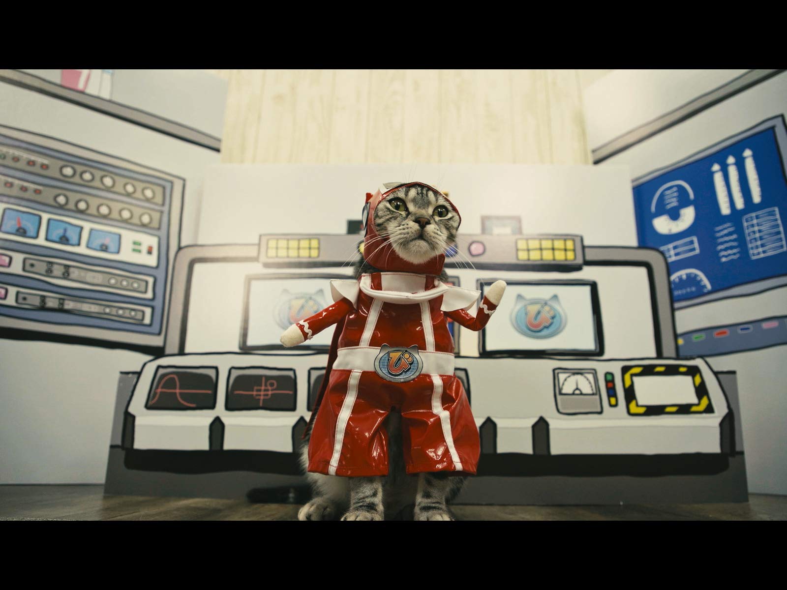 Amazon Co Jp ネコ戦隊 びたたまを観る Prime Video