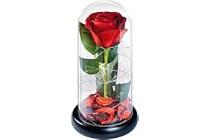 DHOEM Preserved Flower Silk Rose in Glass Dome Gifts for Mom,Silk Glass Rose Forever Flower Birthday Gifts for Wife Women Mom Best Friend Girlfriend,Galaxy Red Silk Rose Gifts for Wife(8inch)