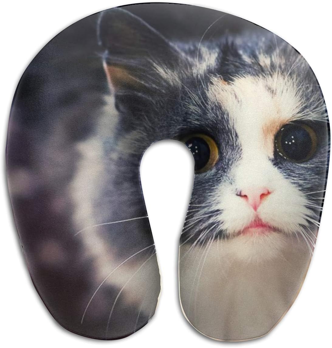 should i buy a cat u car