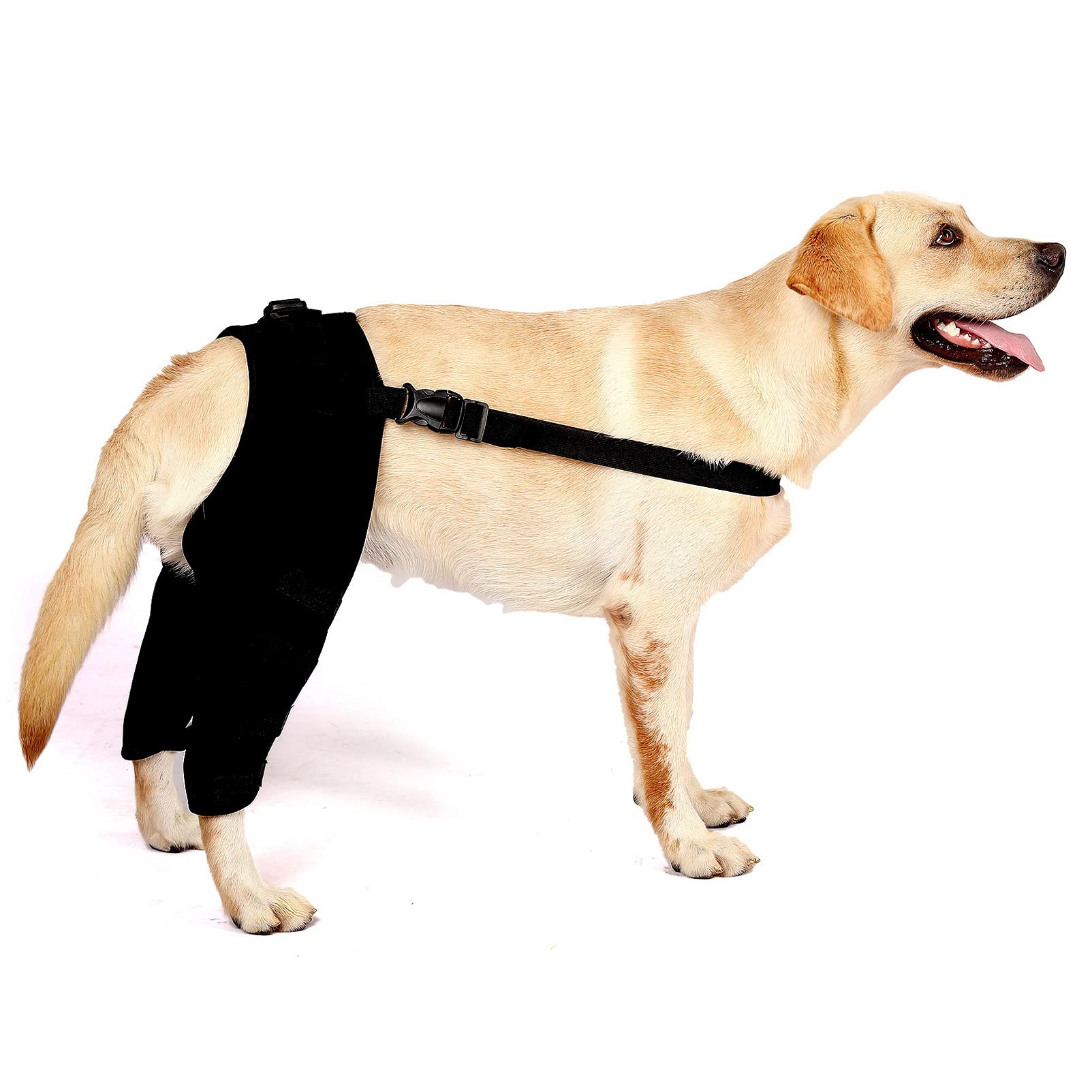 SMALLLEE_LUCKY_STORE Dog Knee Brace for Back Leg Torn ACL Neoprene Canine Stifle Support Hip Hock Joint Compression Wrap Sprains Injury Protection Loss of Stability from Arthritis Relieve Pain
