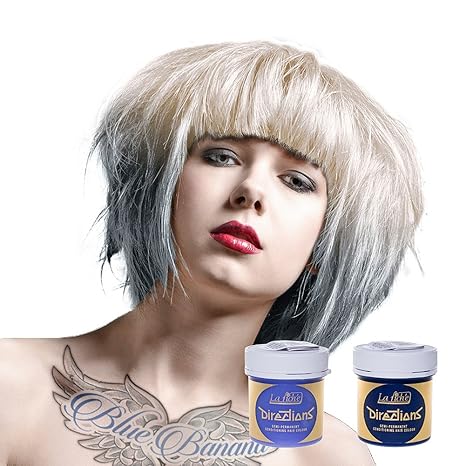 La Riche Directions Colour Hair Dye Combo X1 White And X1 Silver