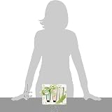 BRUBAKER Hand Cream Gift Set 3 Pack Moisturizing Urea Shea Butter Women Men view 6