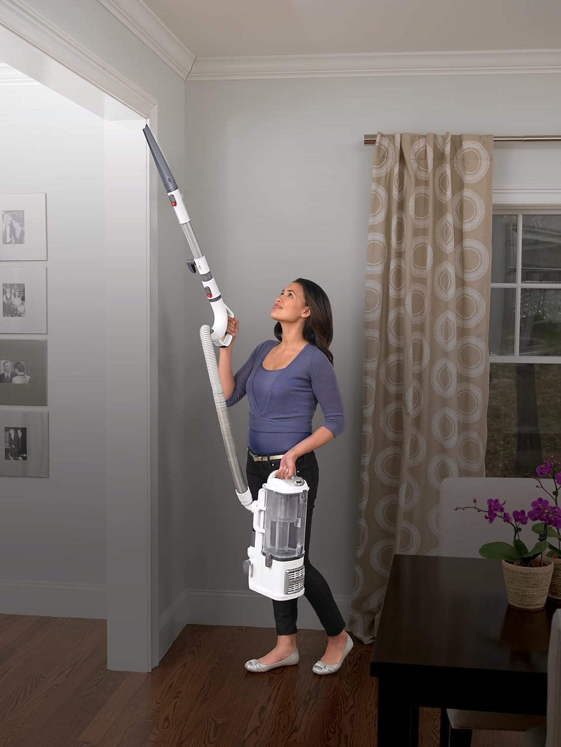 Shark NV358 Navigator Lift-Away Professional Upright Vacuum Cleaner, Powerful and Lightweight with Hepa Filter, White: Home & Kitchen