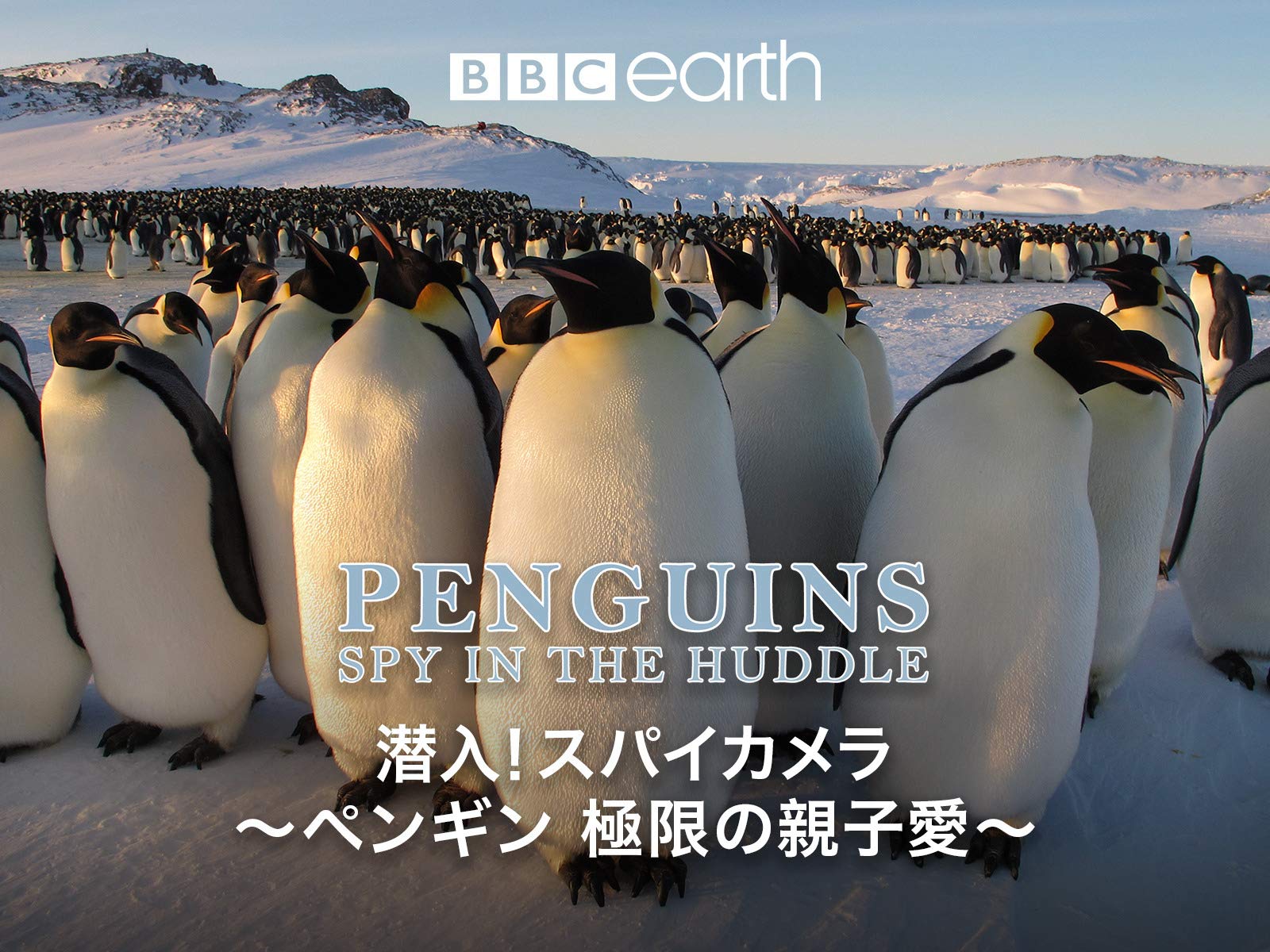 Amazon Co Jp 皇帝ペンギン 字幕版 を観る Prime Video