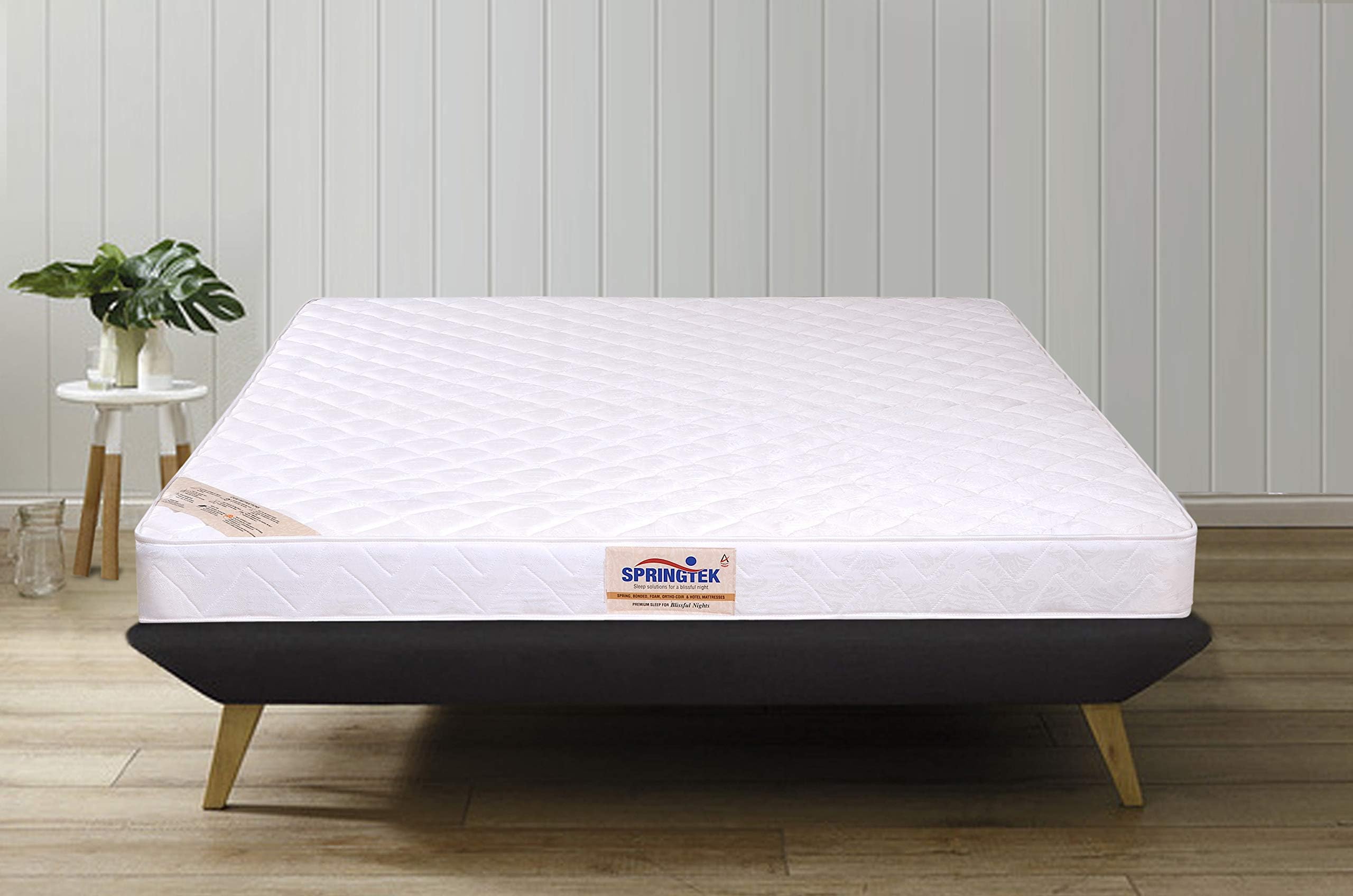 Springtek Day Dreamer 4 inches Coir Foam Queen Size Mattress (White, 78x60x4)