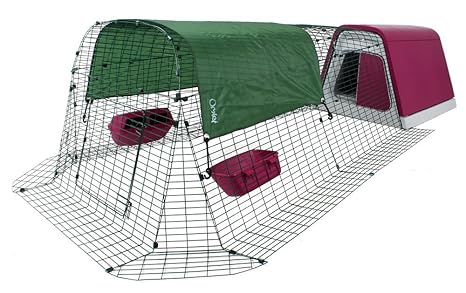 Amazoncom Omlet Eglu Go Chicken Coop With 6ft Run Purple Pet