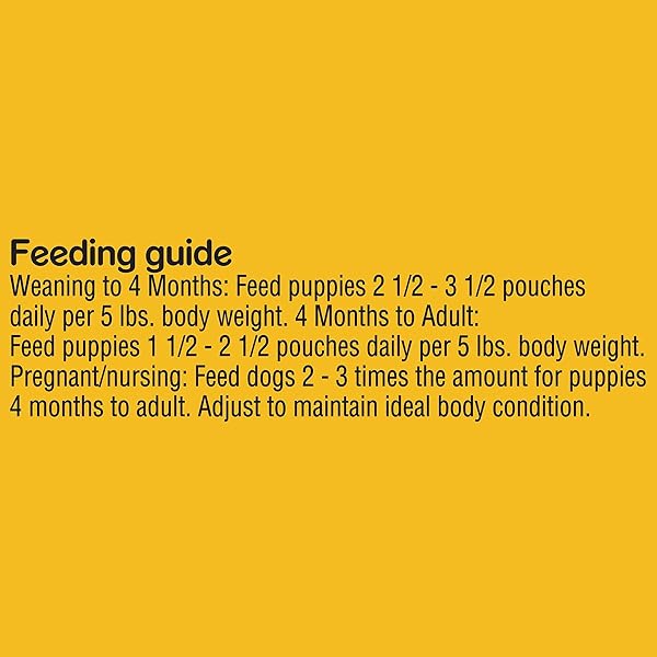 PEDIGREE CHICKEN WET DOG FOOD MORSEL IN SAUCE 3.5 OZ – 0023100119051