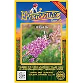 Everwilde Farms - 800 Fireweed Native Wildflower Seeds - Gold Vault Seed Packet