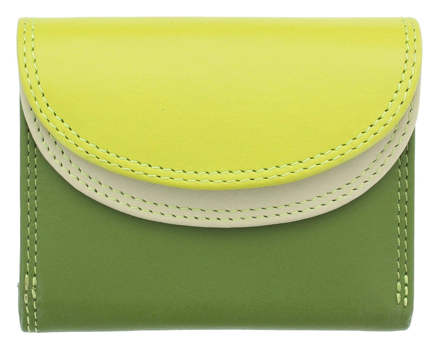 Visconti Rainbow Collection Small Leather Purse RFID and Tap and Go RB126 Lime Multi