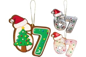3pcs 67 Funny Christmas Ornaments 2025, 3" Acrylic Holiday Tree Decoration Hat Christmas Tree Stocking and Lights Designs, Hi