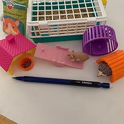 my life hamster set