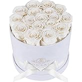 Prifroti 17 Flowers in a Luxury Suede Box, Birthday Gifts for Women, Preserved Flowers, Mothers Day Roses Gift for Mom, White