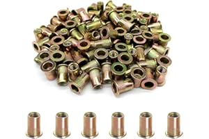 100PCS -Rivet Nuts, M6 Carbon Steel Metric Rivet Nut Assortment Kit, Flat Head Threaded Insert Nutserts Assort,for Automotive