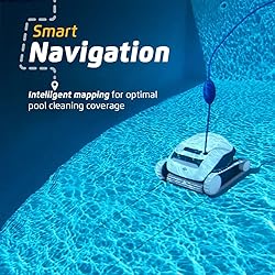 Dolphin (2025 Model) E10 Automatic Robotic Pool