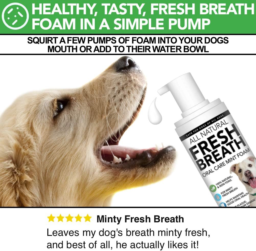 natural mouthwash for dogs