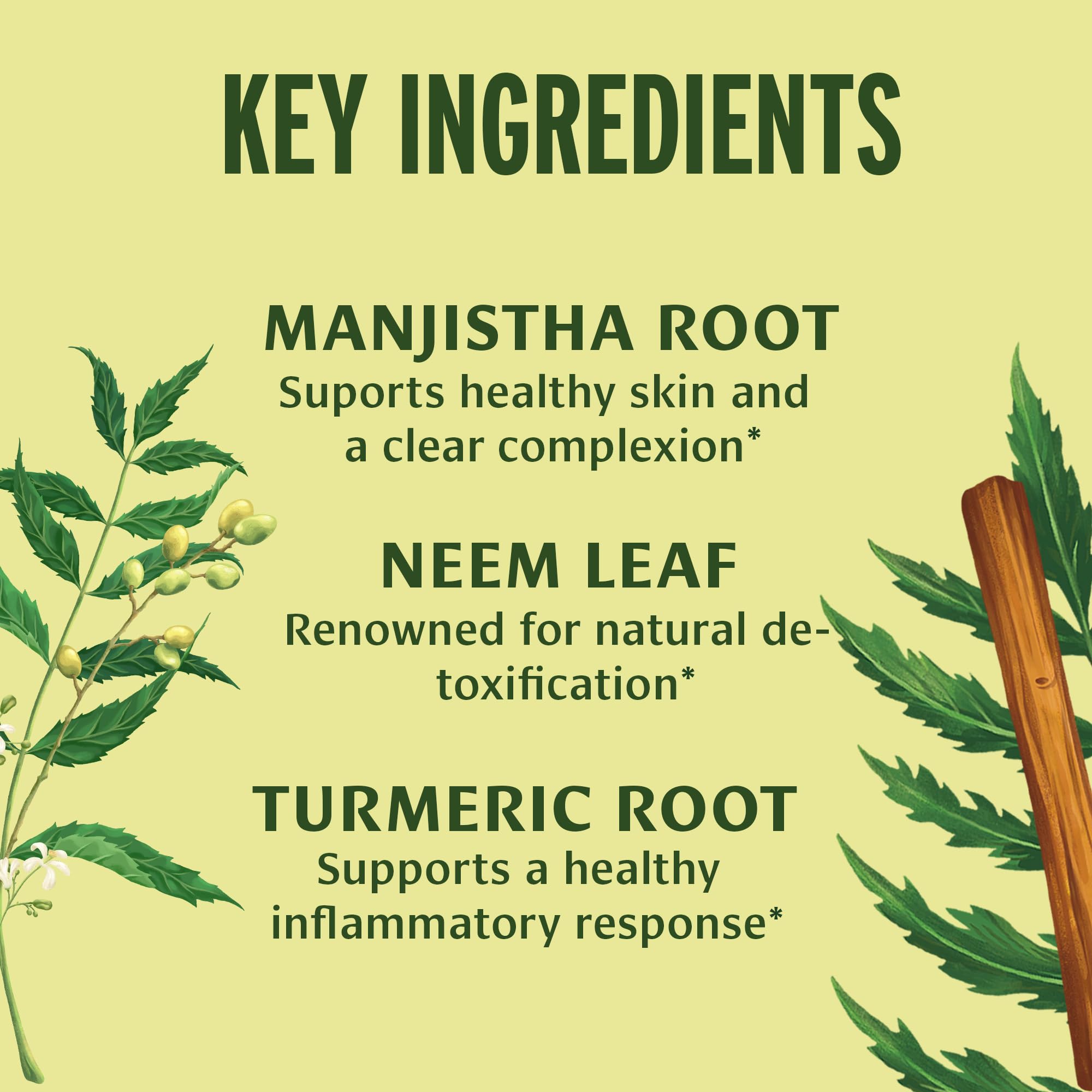 Banyan Botanicals Blood Cleanse Tablets – Organic Clear Skin Supplement with Manjistha & Neem – Blood Cleanser Herbs for Natural Detox & Healthy Skin* – 90 Tablets – Non GMO Sustainably Sourced Vegan