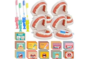 4 Set Dentist Play Kit Educational Dentist Play Set with Teeth Model Toothbrush Dental Educational Card for Teaching Hygienic