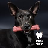 Tasty Bone Nylon Dog Chew Toy Bacon for Small Dogs Indestructible UK Made view 4