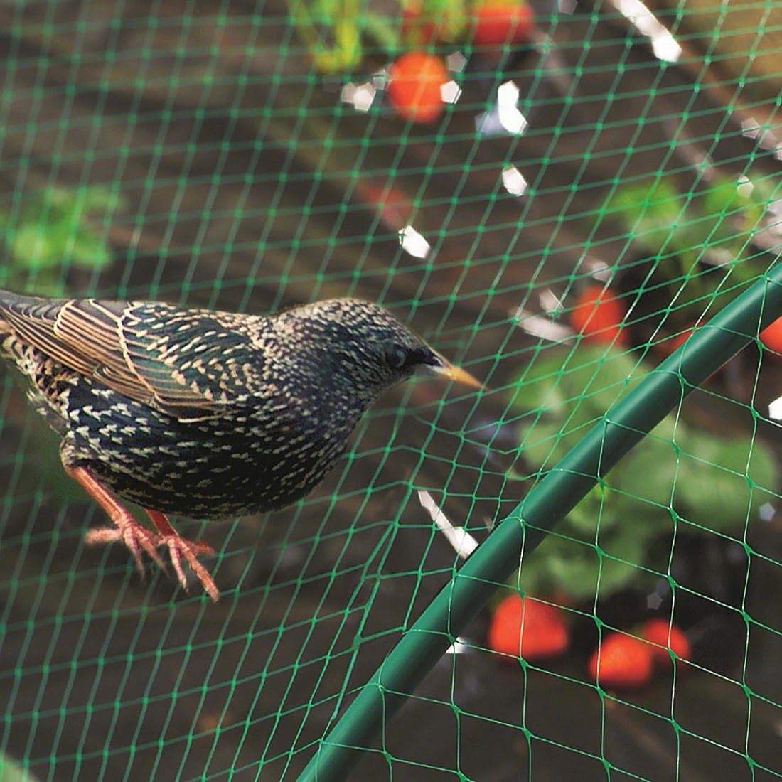 4m x 12m Anti Bird Netting Garden Pond Allotment Net Green Plastic Diamond