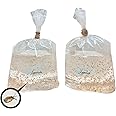 500+ Live Daphnia Magna (2 Packs - 250 Each) | Premium Living Culture for Freshwater Fish Food – Planktonic Crustacean, Water Fleas, Aquatic Live Food