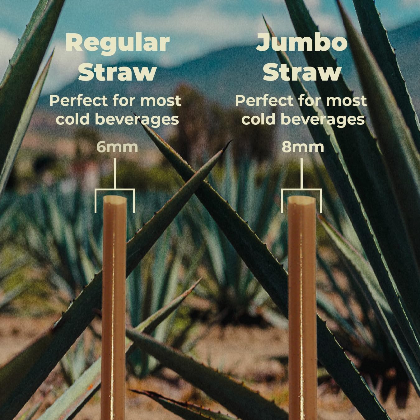 Sustainable Agave Co - Agave Fiber Unwrapped Drinking Straws - 100 Count - Biodegradable, Plant-Based, Made With Upcycled Materials, Reusable - Brown, Regular, 8" - Image 8