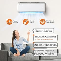 Albott 24000 BTU Mini Split Air Conditioner Heat