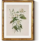 InSimSea Gold Bamboo Framed Canvas Wall Art, Neutral Floral Botanical Paintings, Antique Vintage Picture Frame with Mat, Vict