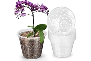 FUIJOL Orchid Pots, 8 Pack 3 Inch Orchid Planter with Holes, Clear Plastic Pots Indoor Outdoor, Slotted Orchids Planter (3 Inch)