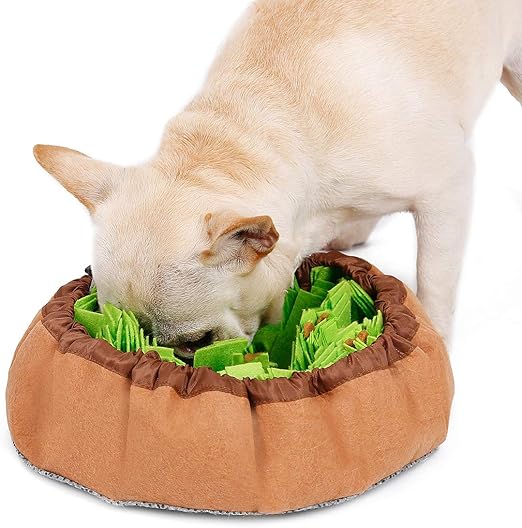 arsenal dog bowl