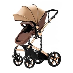 Aveainelle 2 in 1 Baby Stroller with