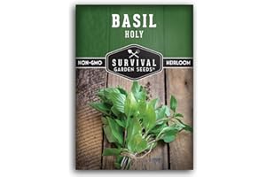Survival Garden Seeds - Holy Basil Seed for Planting - 1 Packet with Instructions to Plant and Grow The Indian Sacred Herb Tulsi in Your Home Vegetable Garden - Non-GMO Heirloom Variety - Indian Herb
