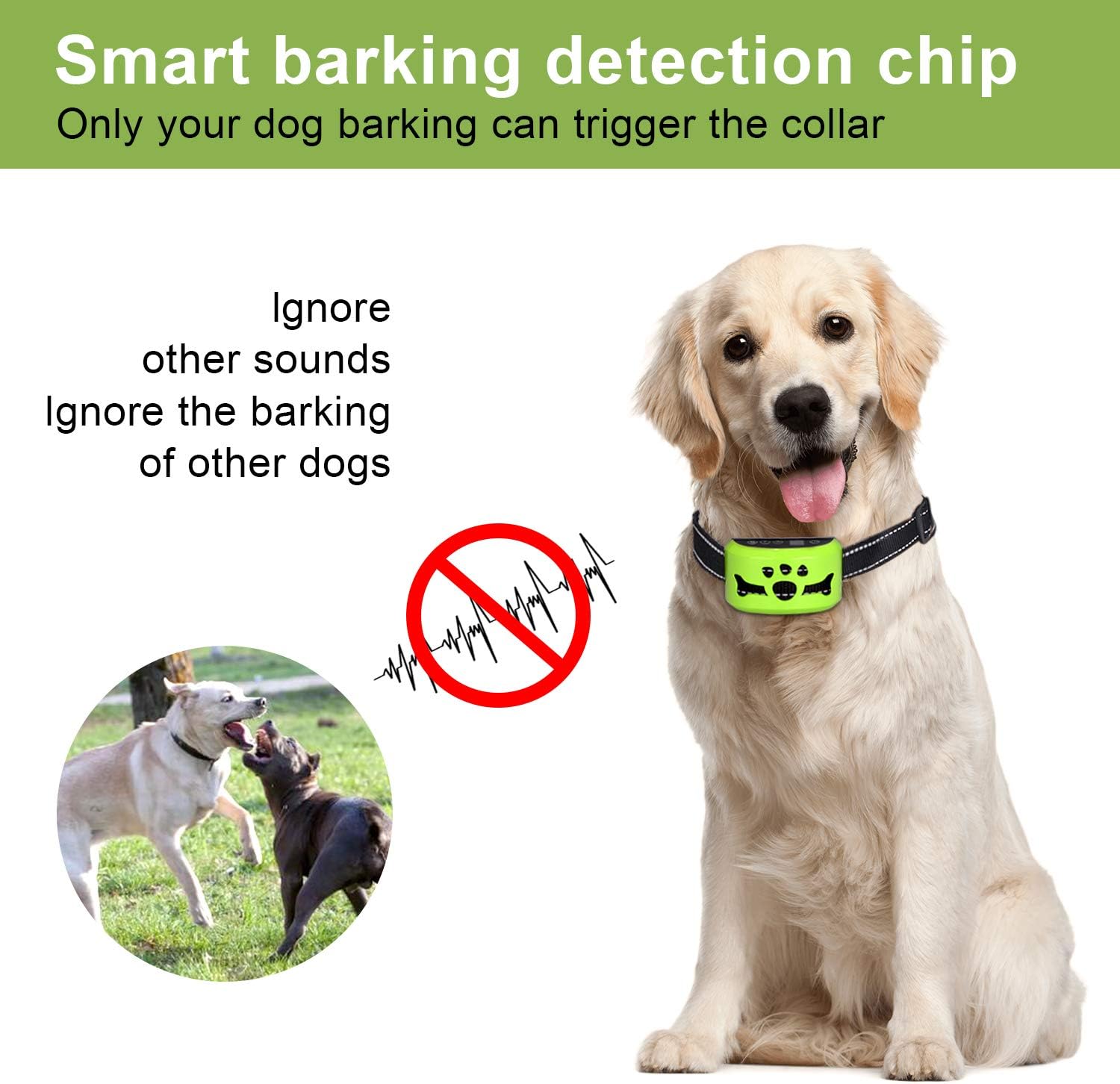 Dog No Barking Collar (Green) : Pet Supplies