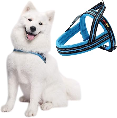 amazon best dog harness